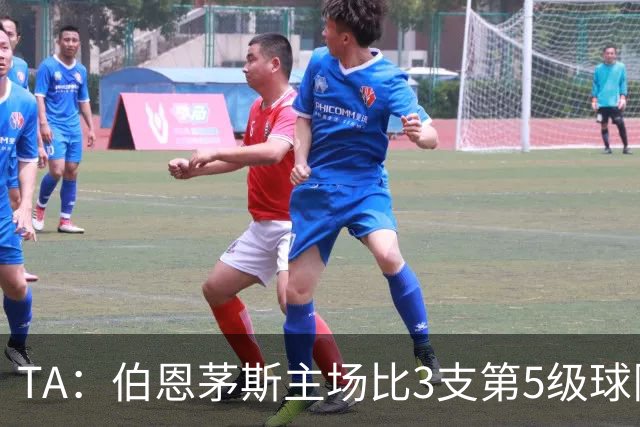 TA：伯恩茅斯主场比3支第5级球队还小，伊劳拉如今的压力远超从前